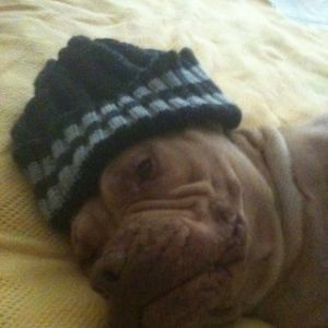 Meet your Posher, Myra